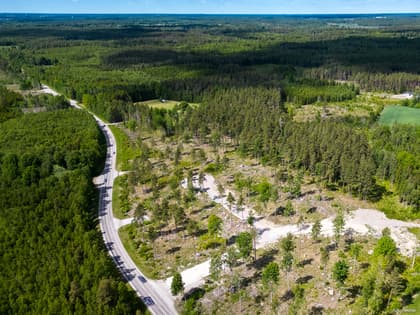 Bild av trädgården