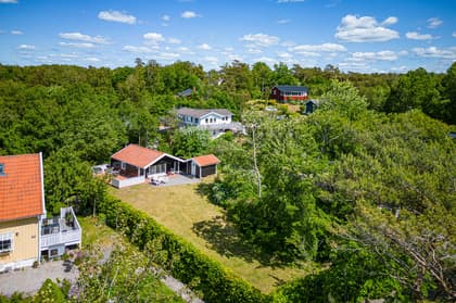 Bild av trädgården