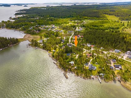 Bild av trädgården