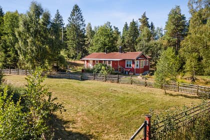 Bild av trädgården