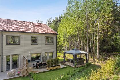 Bild av trädgården