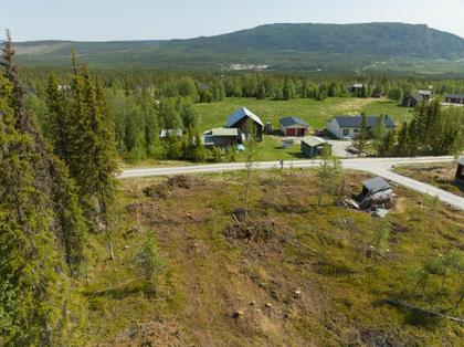 Bild av trädgården