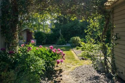 Bild av trädgården