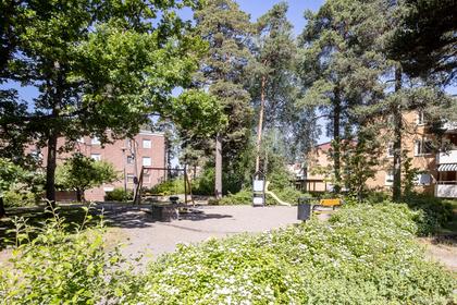 Bild av trädgården