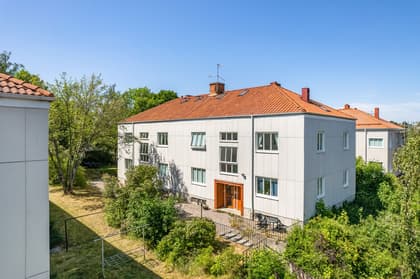 Bild av trädgården