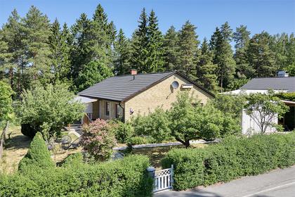 Bild av trädgården