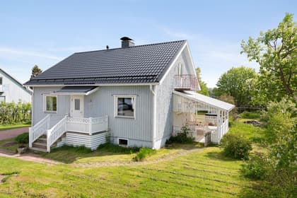 Bild av trädgården