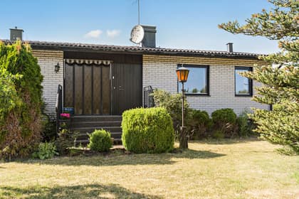 Bild av trädgården