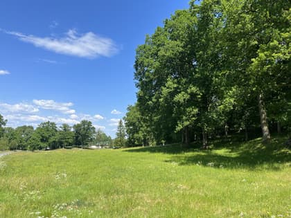 Bild av trädgården