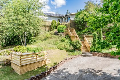 Bild av trädgården