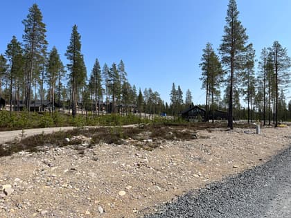 Bild av trädgården