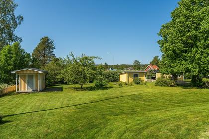 Bild av trädgården