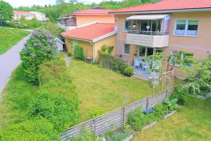 Bild av trädgården