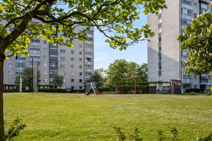 Karolingatan 20, Vita Höja