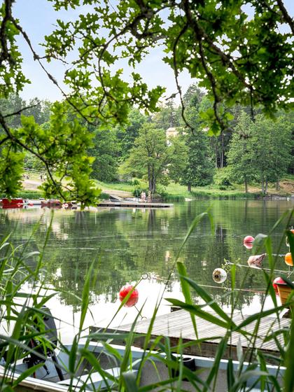 Bild av trädgården