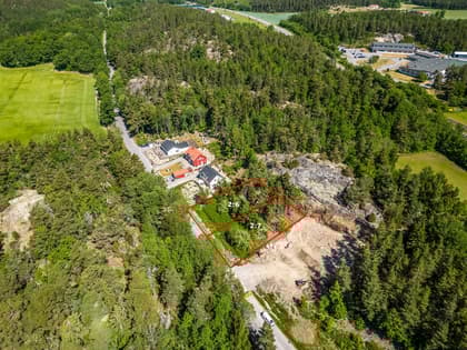 Bild av trädgården