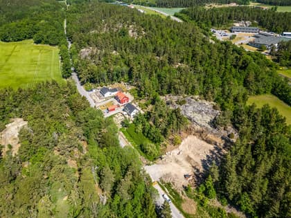 Bild av trädgården