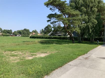 Bild av trädgården