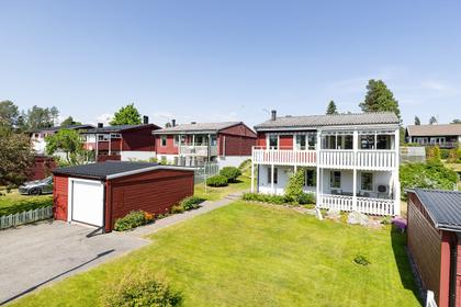 Bild av trädgården