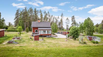 Bild av trädgården
