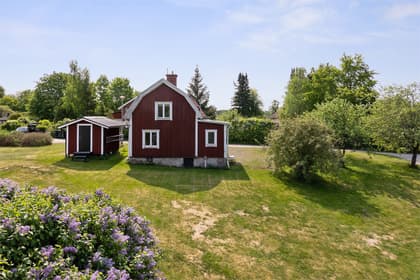 Bild av trädgården