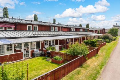 Bild av trädgården