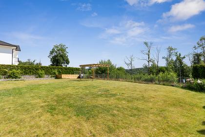 Bild av trädgården