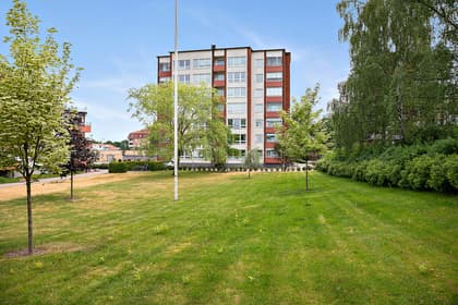 Bild av trädgården