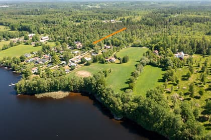 Bild av trädgården