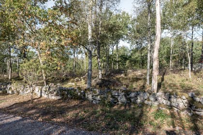 Bild av trädgården