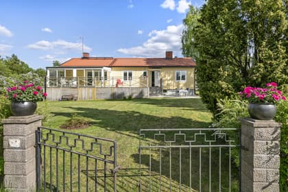 Bild av trädgården