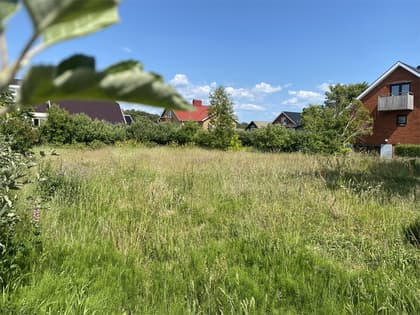 Bild av trädgården