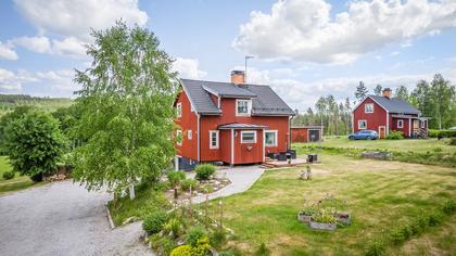 Bild av trädgården