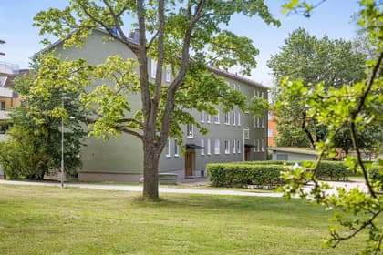 Bild av trädgården