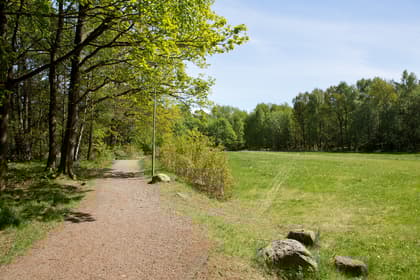 Bild av trädgården