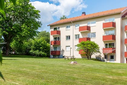 Bild av trädgården