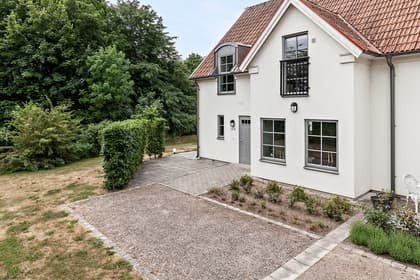 Bild av trädgården