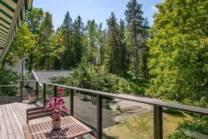 Bild av trädgården