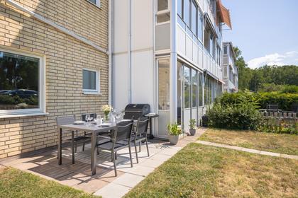 Bild av trädgården