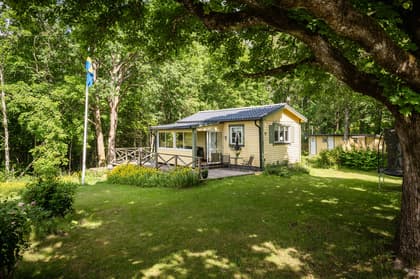 Bild av trädgården