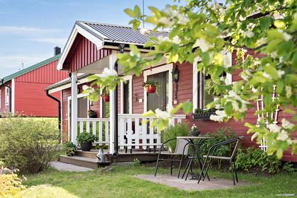 Bild av trädgården