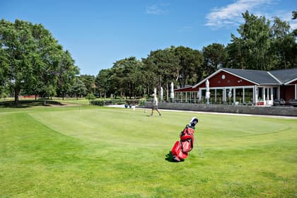 Bild av trädgården