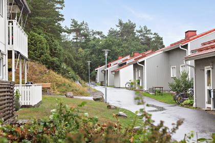 Bild av trädgården