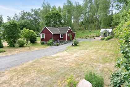 Bild av trädgården