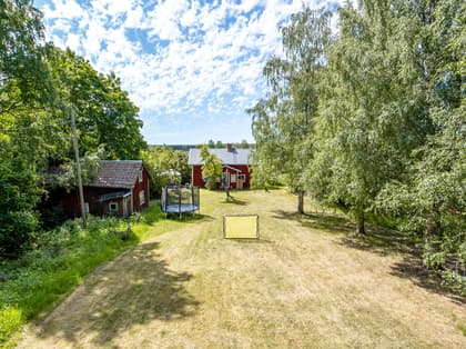 Bild av trädgården