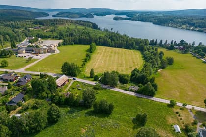 Bild av trädgården