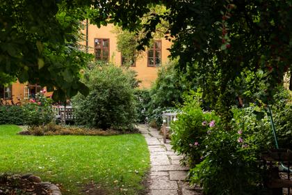 Bild av trädgården