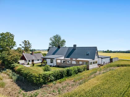 Bild av trädgården