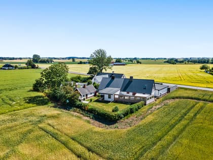 Bild av trädgården