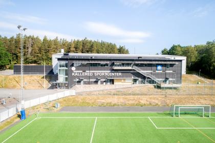 Bild av trädgården